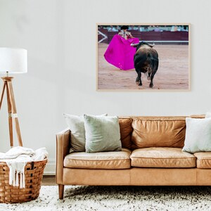 Peut inclure: Un taureau charge vers un torero tenant une cape rose vif dans une arène de corrida.