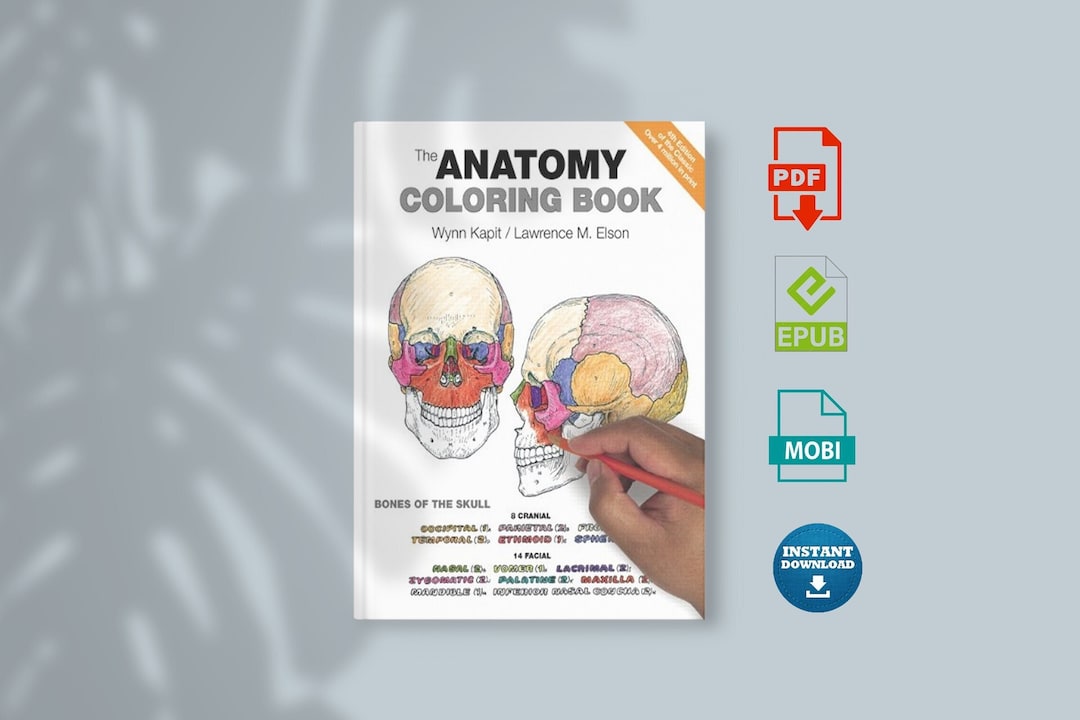 The Anatomy Coloring Book 4th Edition - Etsy