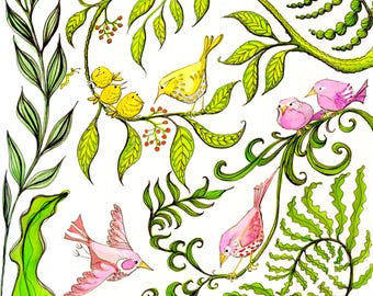 Fossicking in the Ferns’ greetings card for plant lover or bird lover