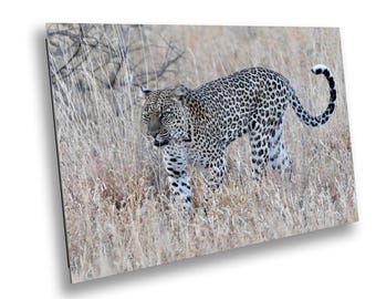 Leopard Photo Print: Safari Animal Wall Art Photography