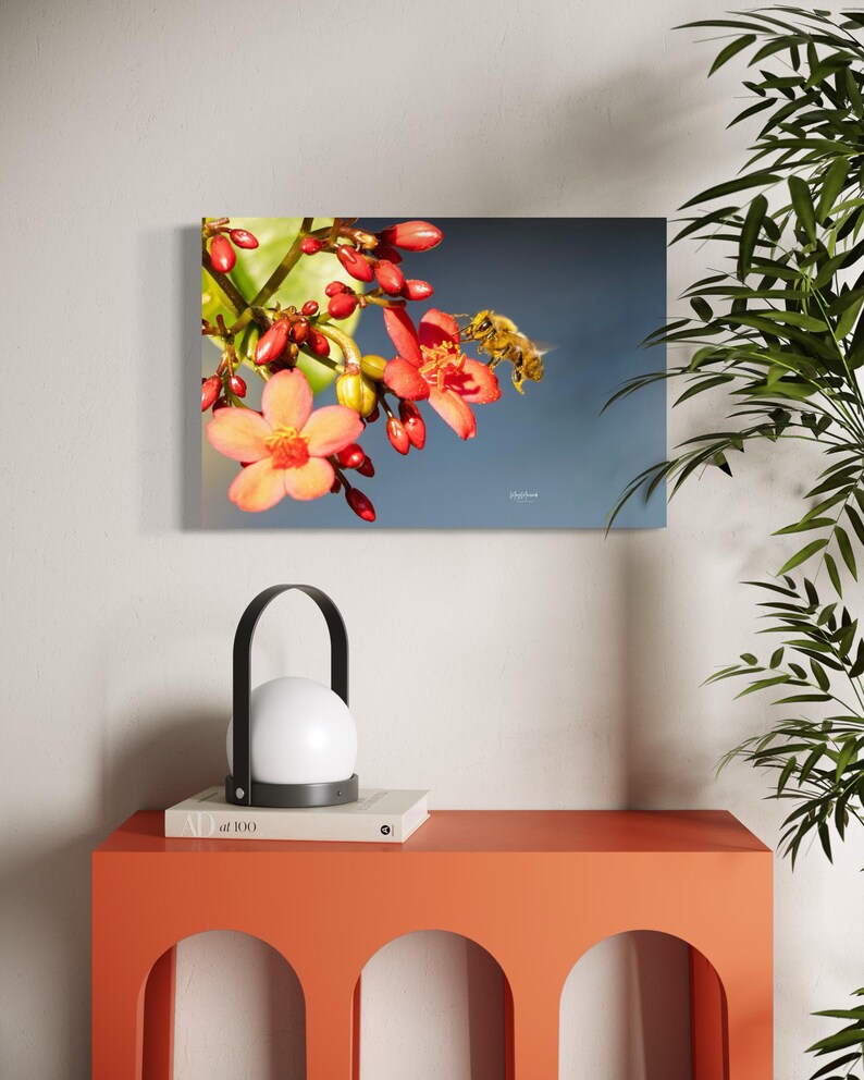 Bumble Bee Wall Art Print – Dusted in Gold | Pollinator Photography ...