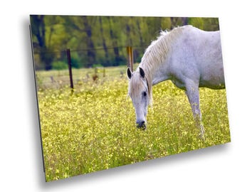 White Horse Print: Spanish Meadow Landscape Photography