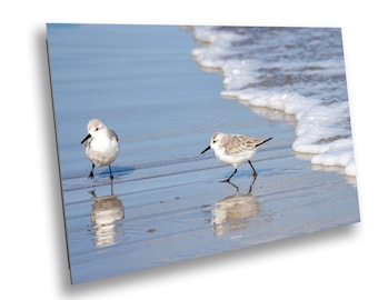 Sandpipers Beach Print: Coastal Bird Photography, Ocean Waves