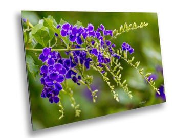 Purple Flower Print – Vibrant Floral Nature Art – Botanical Home Decor