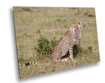 Cheetah Fine Art Print: Maasai Mara Wildlife Photography, Africa Safari