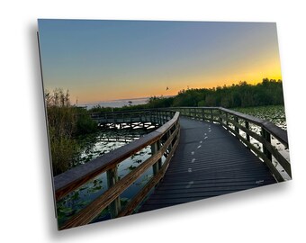 Everglades Photography Print: Golden and Blue Hour, Morning Fog Fine Art