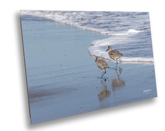 Bird Print, Willet Beach Art, Coastal Nature Photography, Ocean Shore Decor, Marine Life