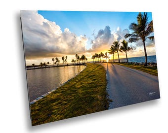 Matheson Hammock Sunrise Print - Miami Florida Wall Art - Tropical Palm Trees - Coastal Landscape Photography Fine Art