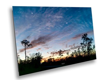 Everglades Photography Print: Golden and Blue Hour, Morning Fog Fine Art