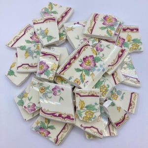 Wild Rose Trommelporzellan (nur Kanten) (Charge 1 von 2)