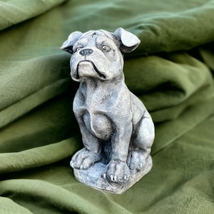 Sitting Boxer puppy statue Realistic Boxer dog statuary Concrete pet memorial figurine