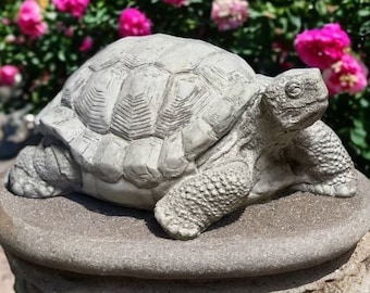 May include: A gray concrete turtle statue with a detailed shell and a textured surface. The statue is sitting on a round, gray concrete base.