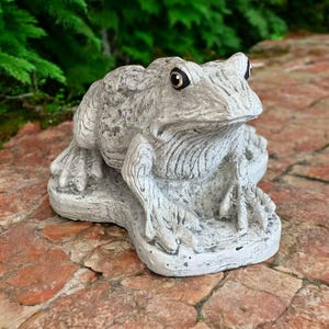 May include: A gray concrete frog statue with a detailed textured surface. The frog is sitting on a flat, gray concrete base.