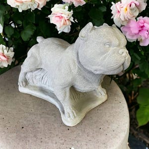 American Bully dog figure Massive dog figure Large American Bully dog sculpture Stone pet figurine