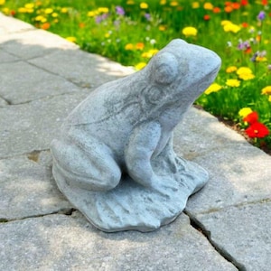 May include: A gray concrete frog statue sitting on a stone path. The frog is sitting on a small base and has a detailed texture.