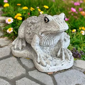 Sitting on base frog statue Crouching frog figure Realistic toad Wild frog sculpture Detailed animal decoration Home decor