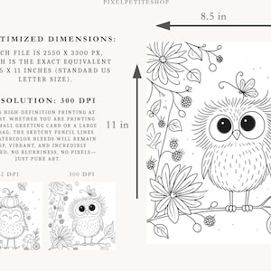 May include: A black and white digital illustration of a fluffy owl perched on a branch with flowers, berries, and a butterfly. The image includes text detailing optimized dimensions of 8.5 by 11 inches and a resolution of 300 DPI for printing.