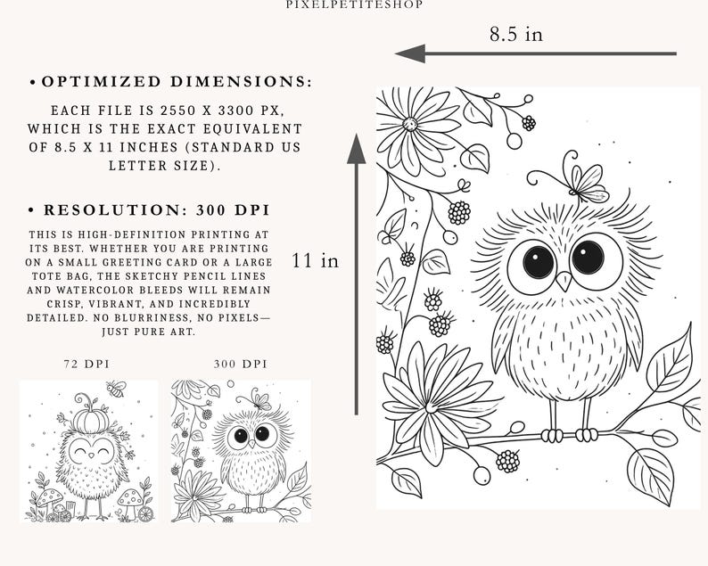 May include: A black and white digital illustration of a fluffy owl perched on a branch with flowers, berries, and a butterfly. The image includes text detailing optimized dimensions of 8.5 by 11 inches and a resolution of 300 DPI for printing.