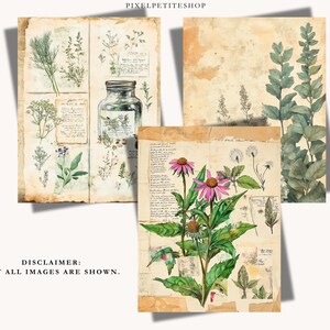 May include: Botanical art prints featuring vintage-style illustrations of herbs and flowers. The prints have a distressed, aged paper appearance with handwritten notes and sketches. The color palette includes greens, browns, and pinks, creating a rustic aesthetic.