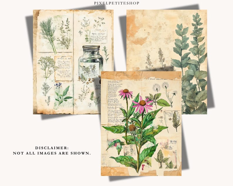 May include: Botanical art prints featuring vintage-style illustrations of herbs and flowers. The prints have a distressed, aged paper appearance with handwritten notes and sketches. The color palette includes greens, browns, and pinks, creating a rustic aesthetic.