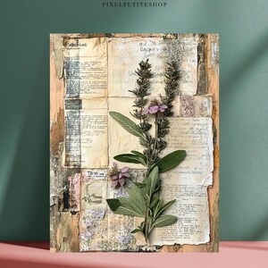 May include: A botanical art print featuring pressed sage and lavender sprigs on a collage of aged paper documents. The artwork has a rustic, vintage aesthetic with a mix of beige, green, and purple hues. The print is mounted on a wooden panel.