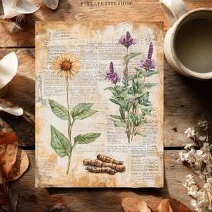 May include: Botanical illustration print featuring a yellow daisy-like flower, purple flowering plant, and several brown root-like objects. The artwork is set against a backdrop of aged paper with handwritten text. A mug of coffee sits nearby.