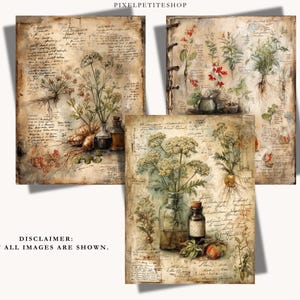 May include: Three vintage botanical prints depicting herbs, roots, and flowers. Each print has an aged paper appearance with handwritten script and small glass bottles. The prints are in shades of beige, brown, and green, evoking a classic aesthetic.