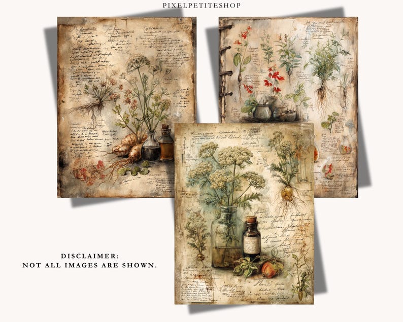May include: Three vintage botanical prints depicting herbs, roots, and flowers. Each print has an aged paper appearance with handwritten script and small glass bottles. The prints are in shades of beige, brown, and green, evoking a classic aesthetic.