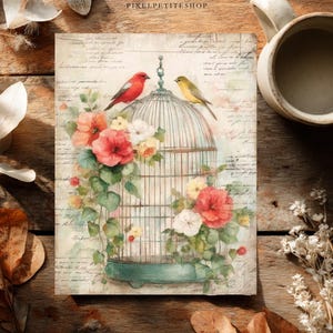 May include: A rectangular print featuring a vintage-style birdcage adorned with vibrant red, pink, and white flowers and green leaves. Two small birds, one red and one yellow, are perched on top of the cage against a background of script text.