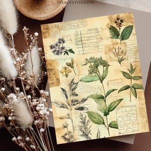 May include: A botanical print featuring various plant illustrations in green and beige tones. The print has a vintage aesthetic with handwritten script and floral elements. The text "PIXIEPETITESHOP" is visible at the top.