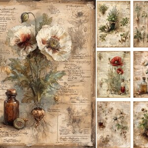 May include: A collection of vintage botanical prints, each depicting detailed illustrations of flowers, herbs, and roots. The prints feature poppies and other medicinal herbs, with handwritten notes and aged paper textures. A brown glass bottle is also visible.