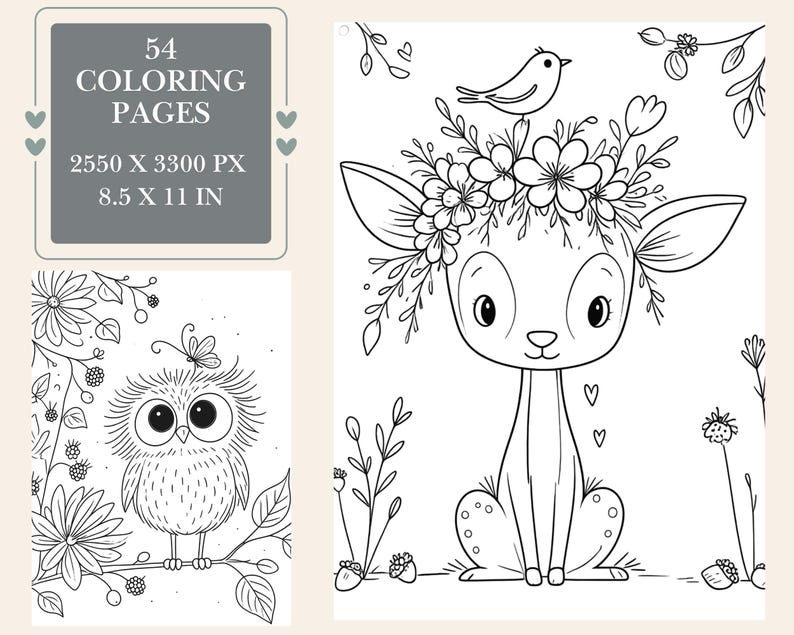 May include: A digital collection of 54 coloring pages measuring 8.5 x 11 inches, featuring black and white line art of a deer with a floral crown and a bird, and an owl perched on a branch with a butterfly, with text 54 COLORING PAGES 2550 X 3300 PX.