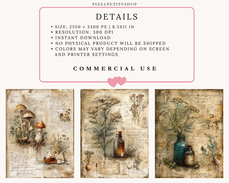 May include: Three vintage botanical prints with illustrations of mushrooms, herbs, and flowers. Each print has a distressed paper background with handwritten script. One print shows mushrooms, another shows a bottle, and the third shows a blue vase.