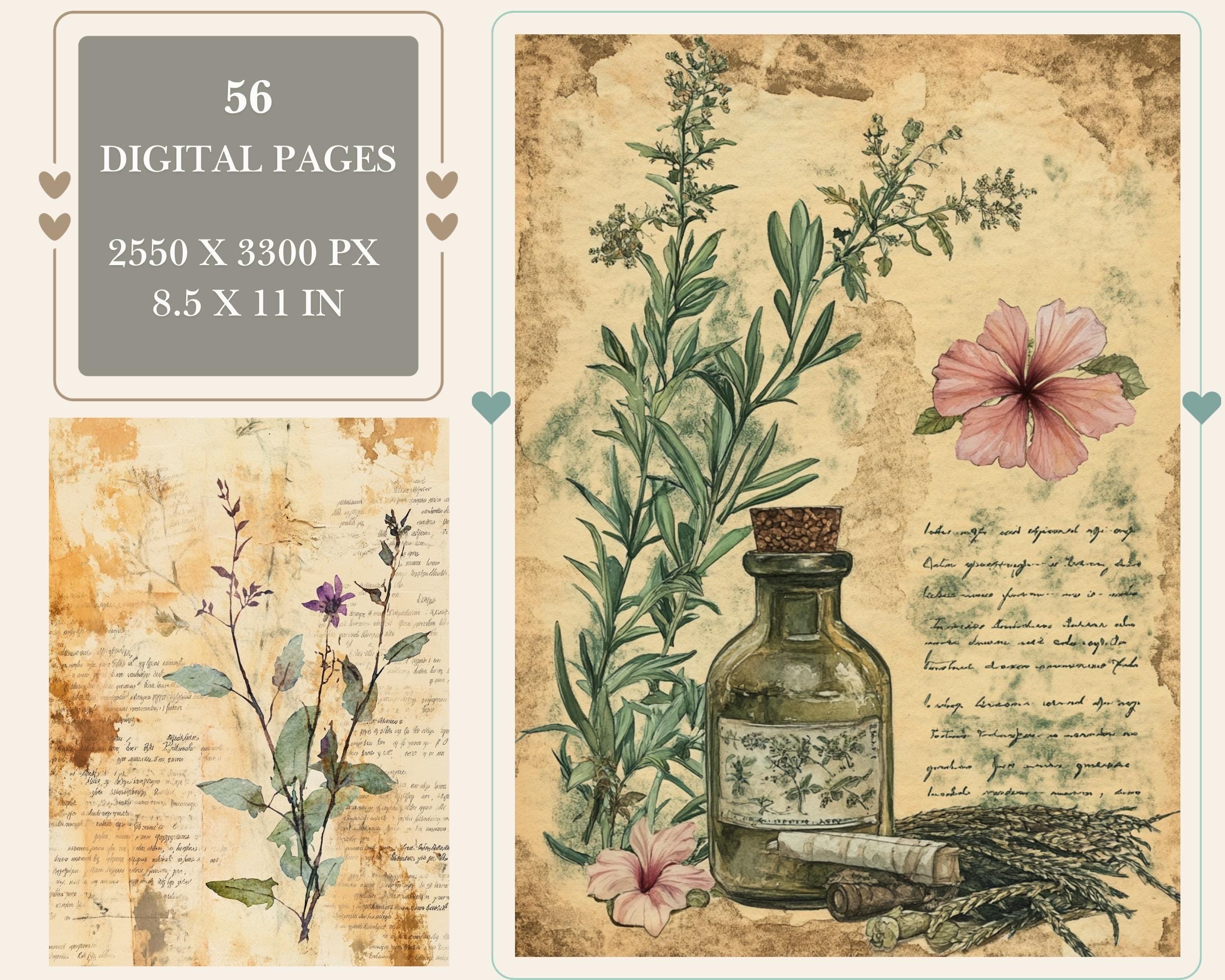 Preview of Botanical Herb Journal Papers — 56 Printable Pages