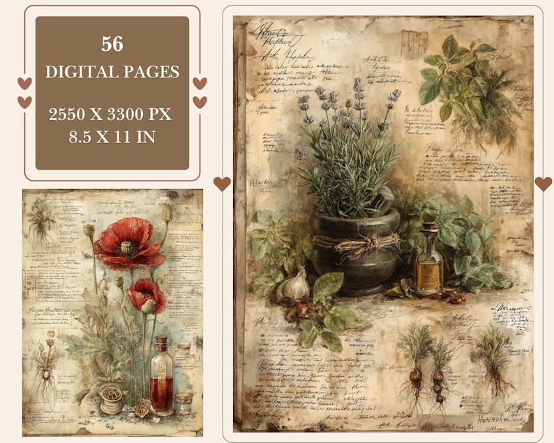 May include: Digital art print with botanical illustrations. The artwork includes images of herbs, flowers, and a small bottle of oil. The text on the image reads "56 Digital Pages, 2550 x 3300 px, 21.6 x 27.9 cm."