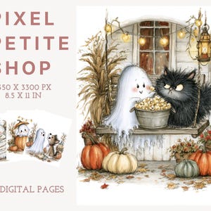 May include: A digital illustration set titled PIXEL PETITE SHOP featuring 40 pages of 8.5 x 11 inch artwork. The main image shows a white ghost and a fluffy black cat sitting on a porch swing with pumpkins, a lantern, and a bowl of popcorn.