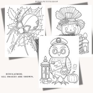 May include: Three black and white coloring pages featuring seasonal illustrations. One shows a spider with a bow in a web with holly, another a jack-o'-lantern with a ruffled collar, and the third an owl with a letter, lantern, and pumpkin.