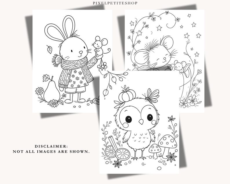 May include: Three black and white coloring pages featuring line art illustrations. One shows a rabbit with a mouse, another a mouse with stars, and the third an owl with a pumpkin. Text reads PIXELPETITESHOP and DISCLAIMER: NOT ALL IMAGES ARE SHOWN.