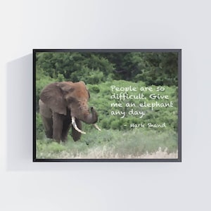 Elephant prints and quotes, gift for elephant lovers, african animal photo painting, safari wall art, desktop decor, jungle decoration
