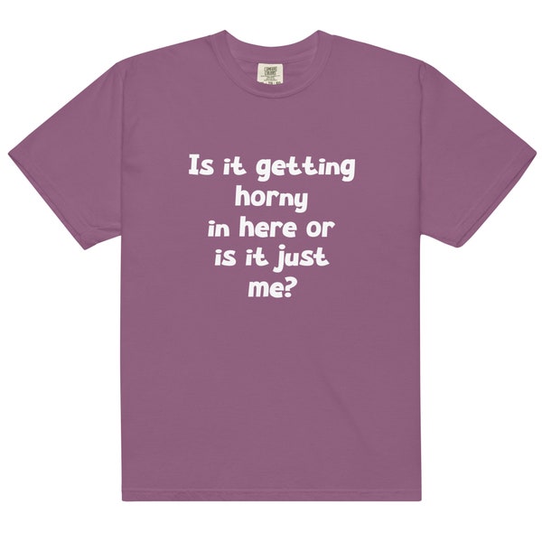 Is It Getting Hor*ny In Here Or Is It Just Me t-shirt, Unisex Tee,