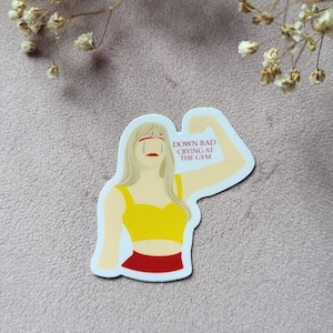 Taylor Swift pegatina Down Bad pegatina bookish swiftie pegatina bookworm regalo libro amante pegatina eras tour pegatina TTPD pegatina gimnasio pegatina