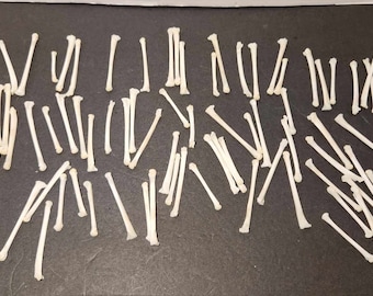 Naturally Cleaned Fox (Long) Foot Bones