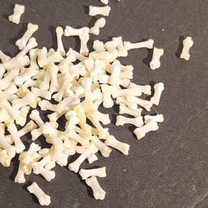 Naturally Cleaned Fox (Short) Toe Bones