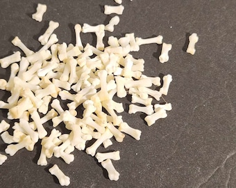 Naturally Cleaned Fox (Short) Toe Bones