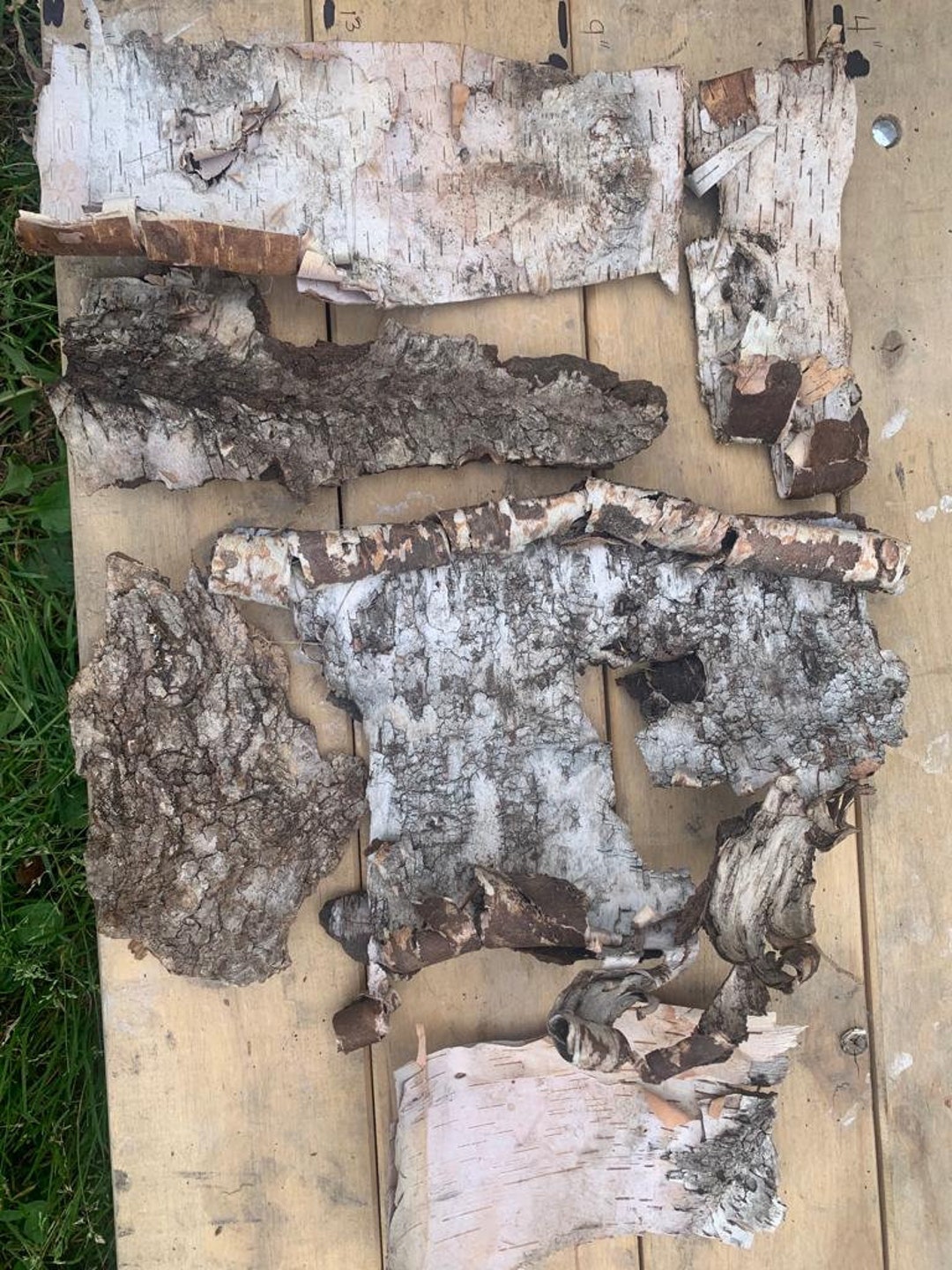 Birch Bark for Crafts, Bulk Birch Bark, White Birch Bark, Birch Bark ...