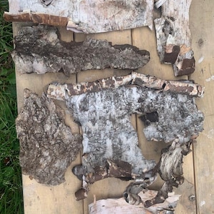 Birch bark for crafts, bulk birch bark, white birch bark, birch bark, birch bark sheets