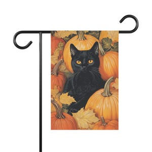 Könnte beinhalten: Eine schwarze Katze mit gelben Augen sitzt in einem Haufen orangefarbener Kürbisse mit Herbstblättern. Die Katze schaut direkt auf den Betrachter.