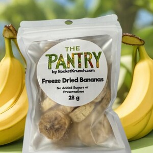Organic Bananas Snack Bag- Freeze Dried All Natural and Healthy- Perfect Snack for Kids and Adults