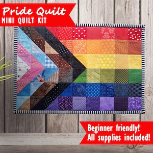 May include: A mini quilt kit featuring a pride flag design with a rainbow color scheme. The kit includes all the necessary supplies and is beginner friendly. The quilt is made of colorful fabric squares with different patterns.