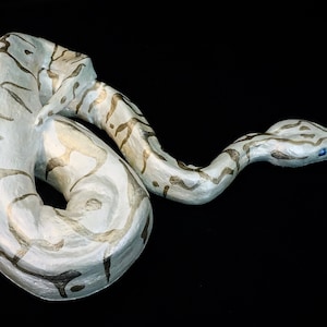 Snake, Ball Python Sculpture, Python, Serpent,Handmade,Hand Painted, Resin, Hand cast, life size, one of a kind, Fine Art, Realistic, Statue